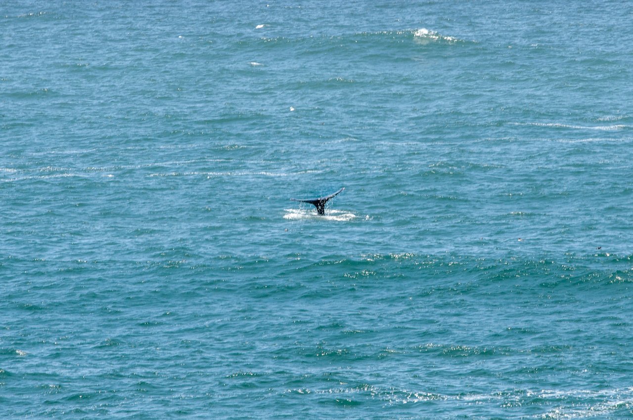 Image 27