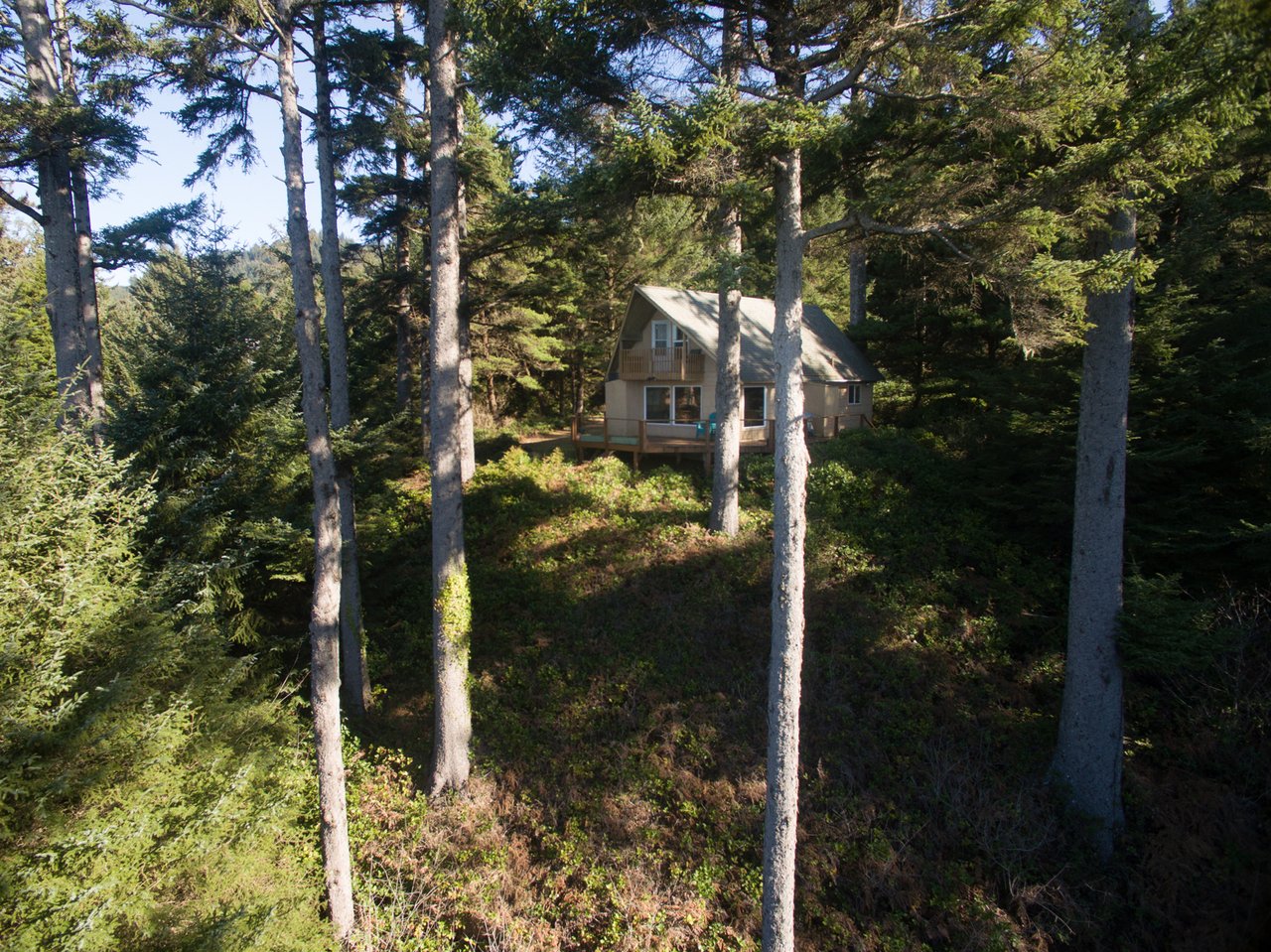 Image 19