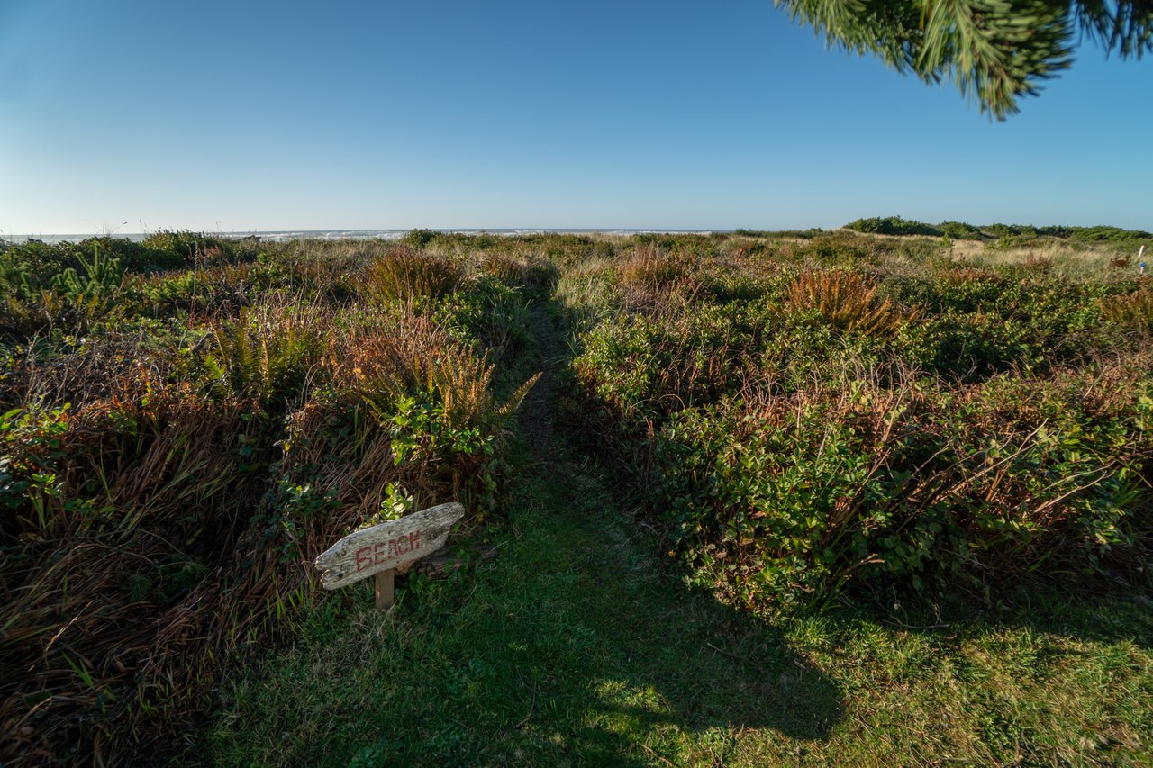 Image 35