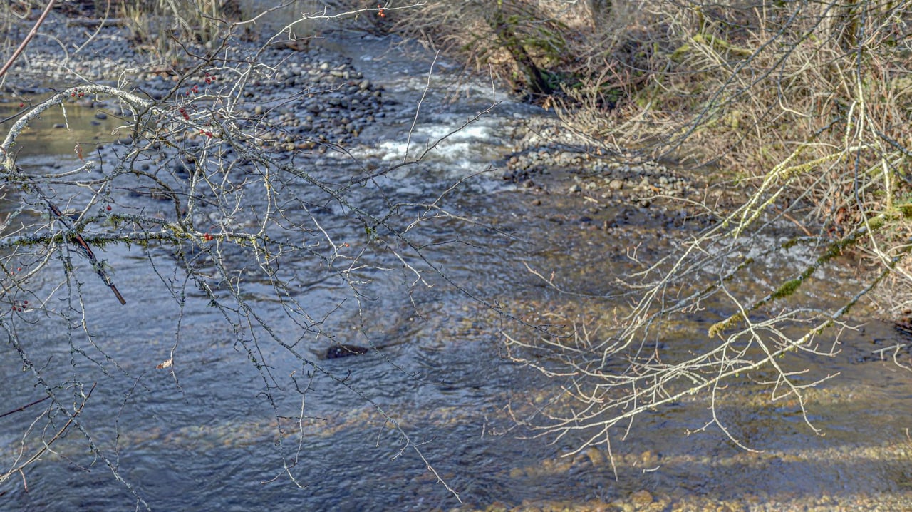 Image 63