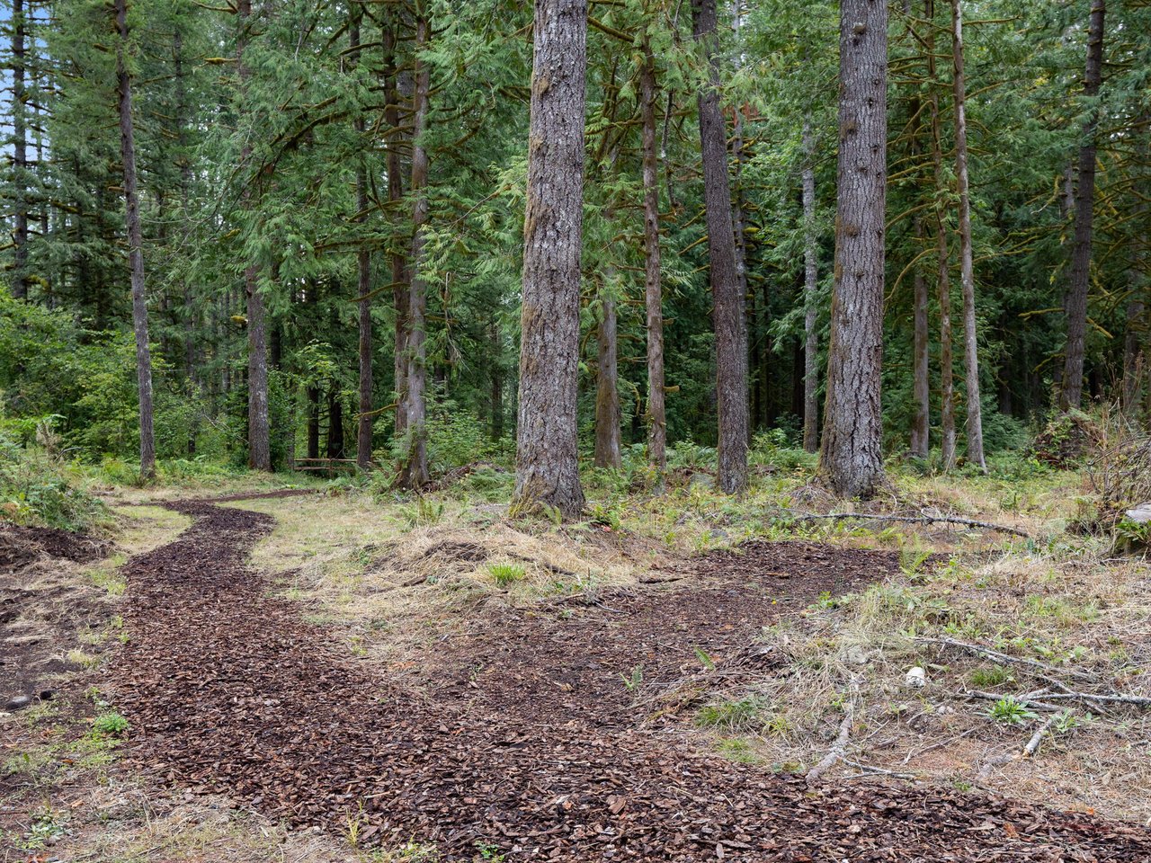 Image 68