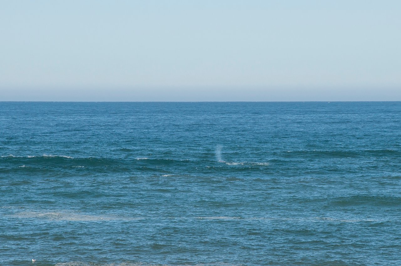 Image 42