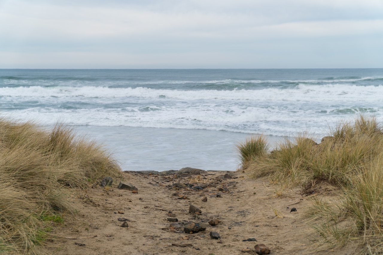 Image 15