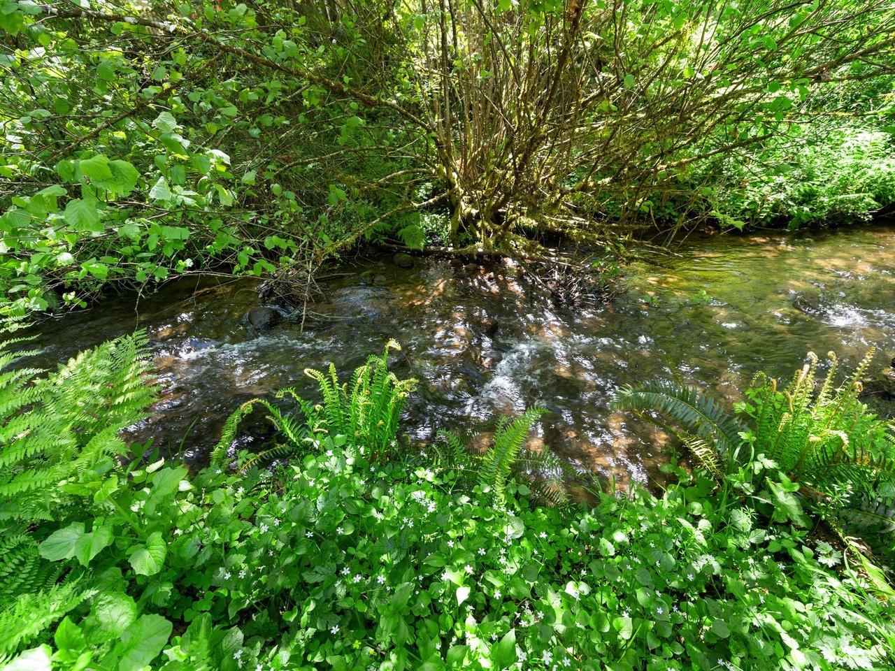 Image 49