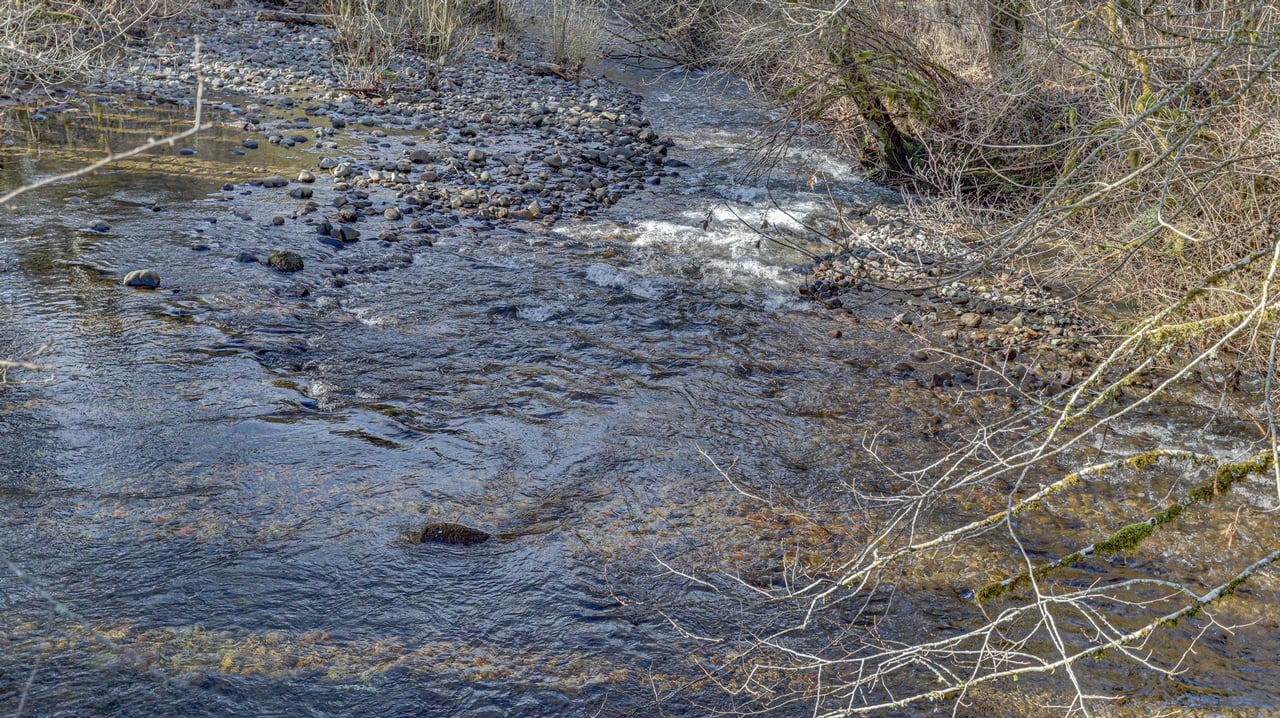 Image 64