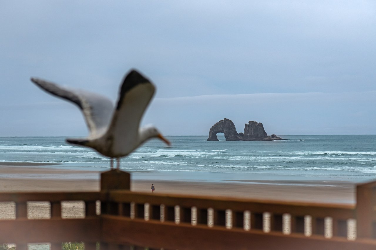 Image 31