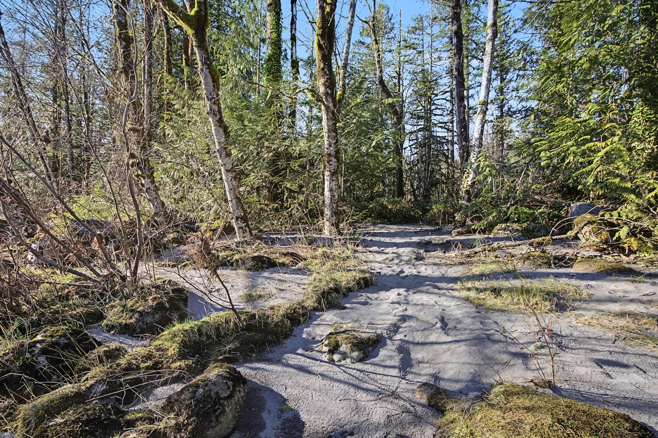 Image 52